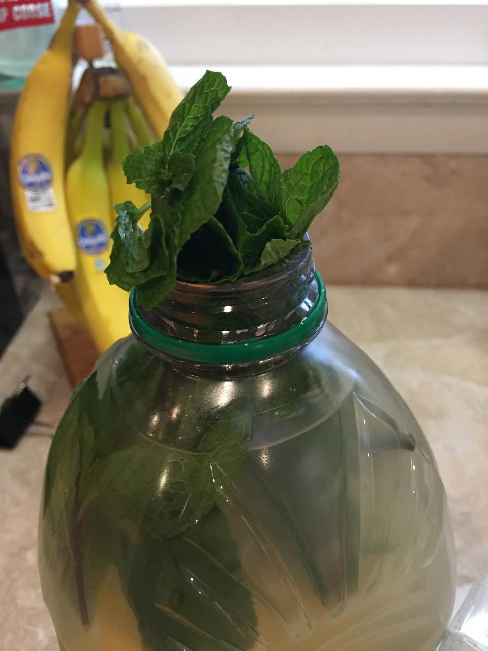 making mint lemonade