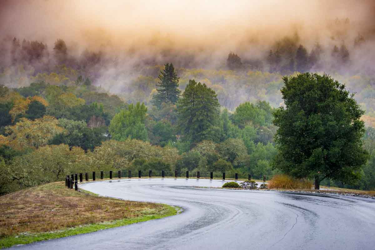 wine tasting Sonoma & Napa