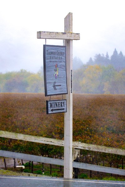 wine tasting Sonoma & Napa