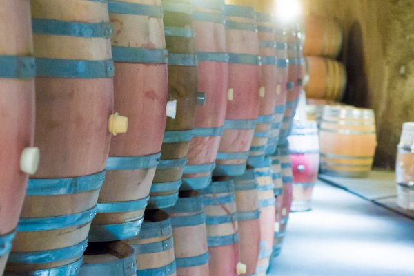 wine tasting Sonoma & Napa