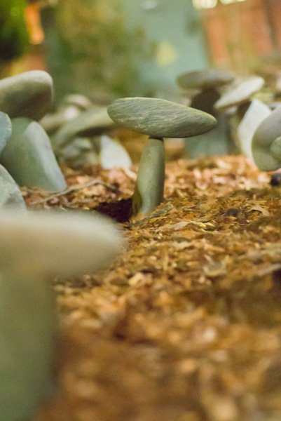 wine tasting Sonoma & Napa