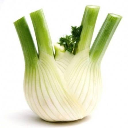 fennel salad