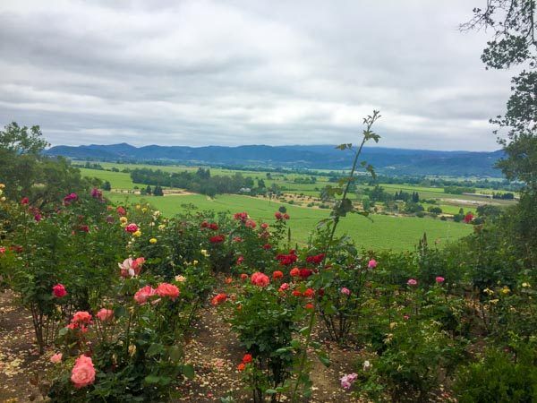 Frank Family Vineyards