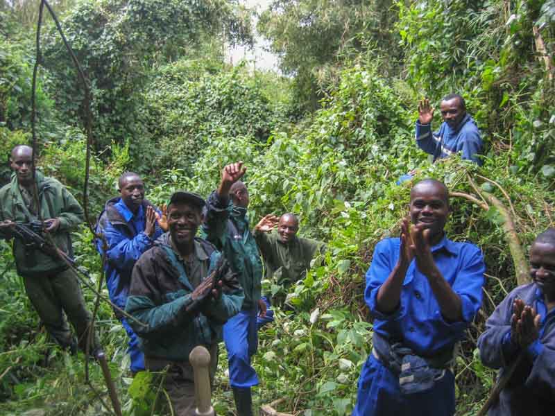 gorilla trek