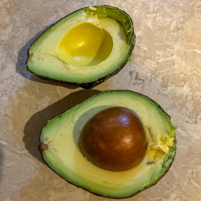 Avocado