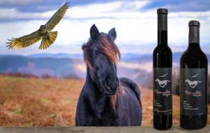 Hawk and Horse