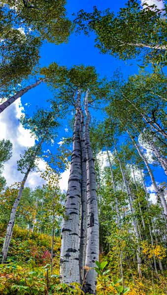 Vail Colorado September