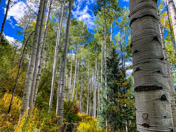 Vail Colorado September