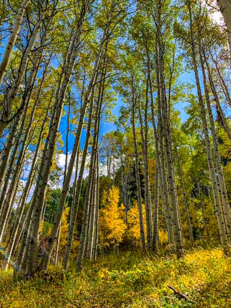 Vail Colorado September