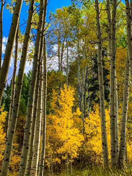 Vail Colorado September