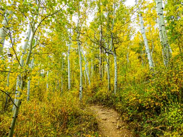 Vail Colorado September