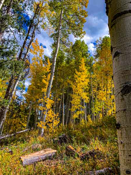 Vail Colorado September