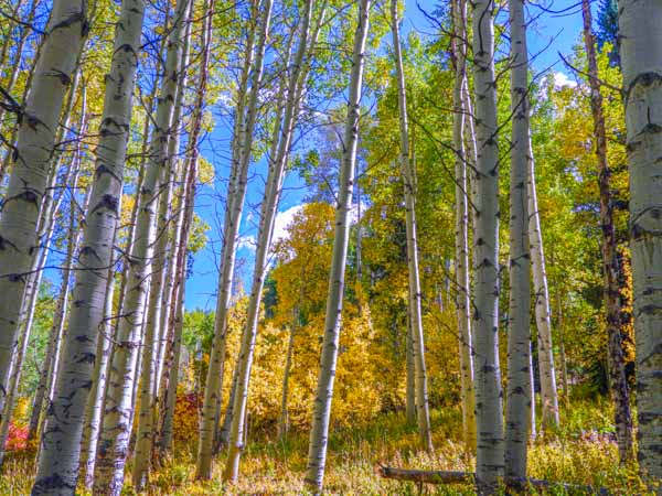 Vail Colorado September