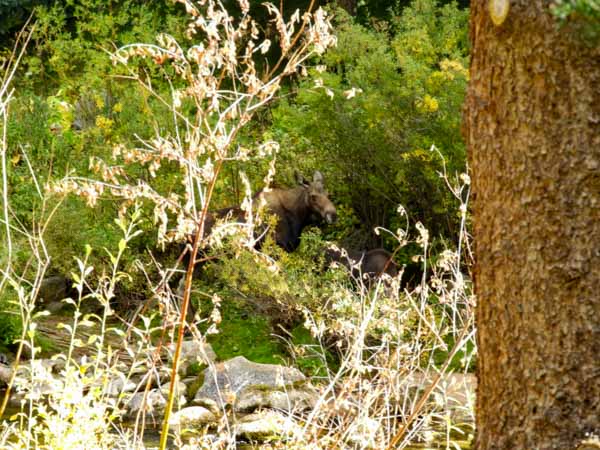 Vail Colorado September