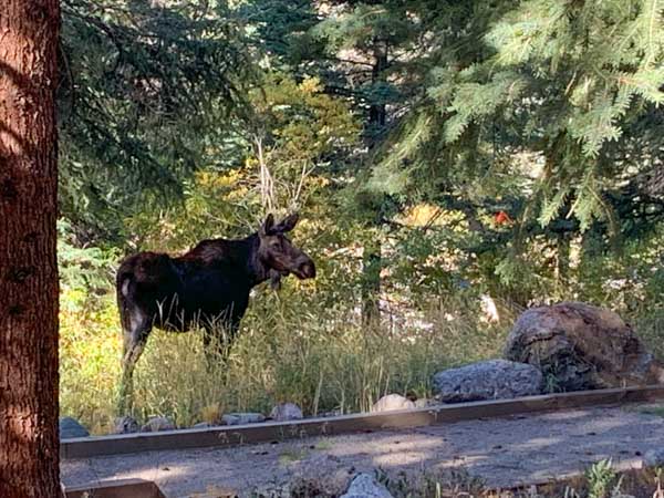 Vail Colorado September