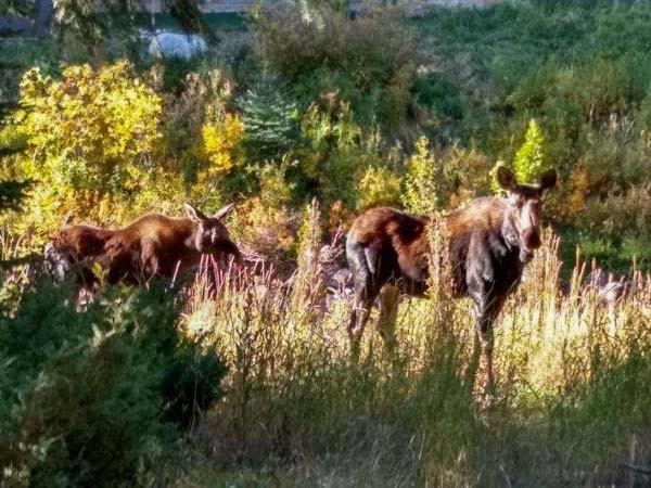 Vail Colorado September