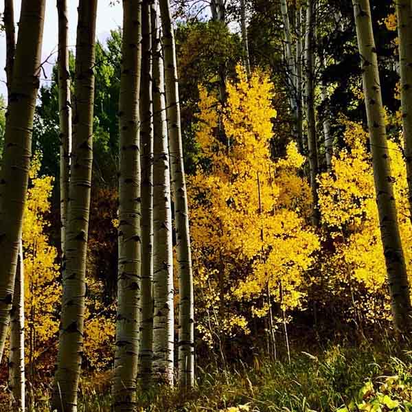Vail Colorado September