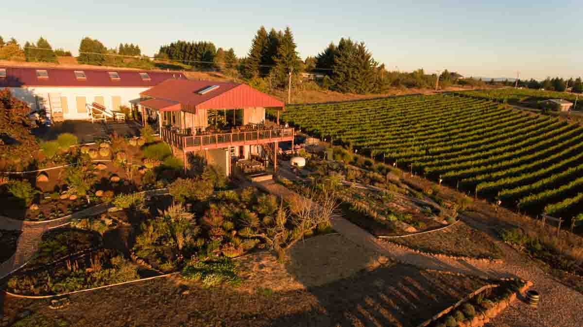 Brooks Winery The Passion Of Wine Strong Coffee To Red Wine