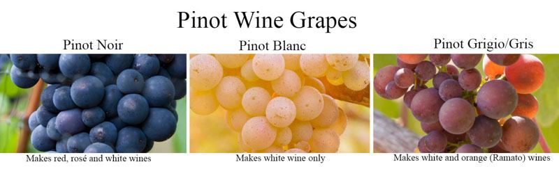 White Pinot Noir huh Absolutely Strong Coffee to Red Wine